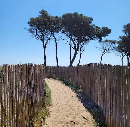 T2 , Beautiful View In Near Hyères