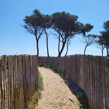 T2 , Beautiful View In Near Hyères